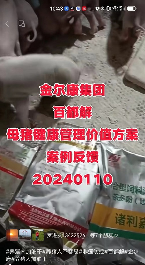 71-母猪康健治理价值计划2.jpg