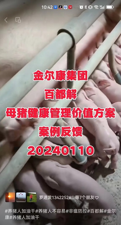 71-母猪康健治理价值计划1.jpg